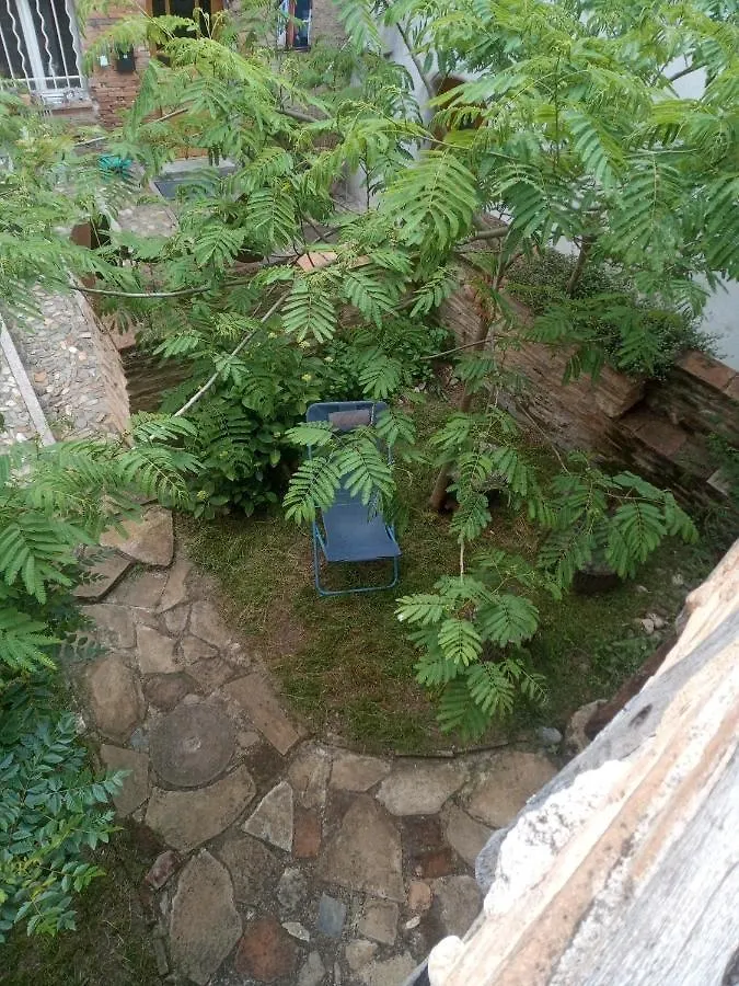 Bed and Breakfast La Lauze Et L'Anguille Gaillac Francia